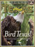 April cover image