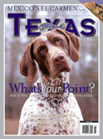 Picture of the cover to the November 2006 magazine