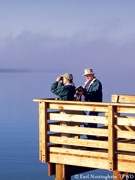 Bird watching couple on man made overlook
