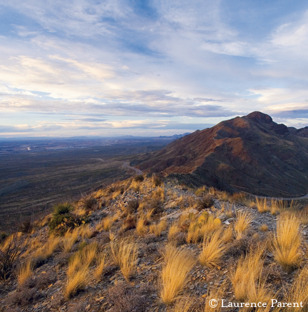another view of the ridge