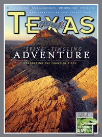 August 2009 cover image Franklin Mountains