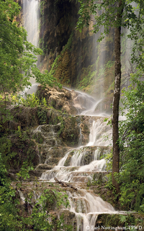 Gorman Falls