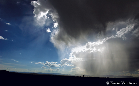 Summer Storm