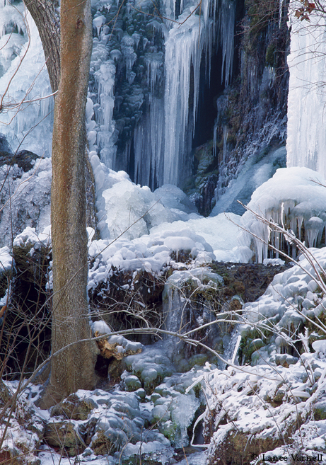 Smith Spring