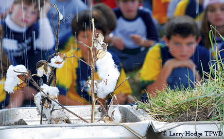 Watershed Education
