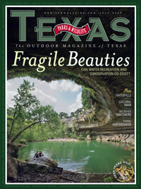 July 2009 cover image Hamilton Pool