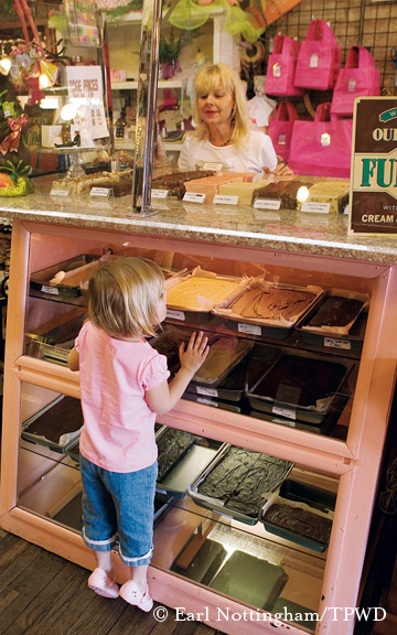 siloette of horses in barn