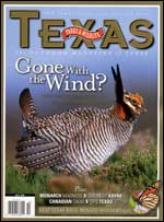 October 2009 cover image lesser prairie-chicken