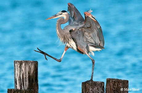 Photo by Mike Sloat