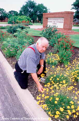 Photos courtesy of Texas Agrilife Research