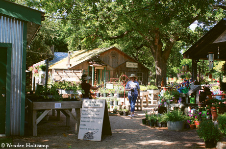 Photo by Wendee Holtcamp