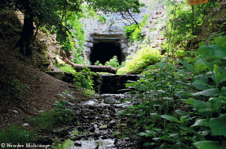 Photo by Wendee Holtcamp