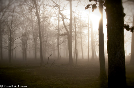 Photo by Russel A. Graves