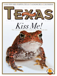 November cover image