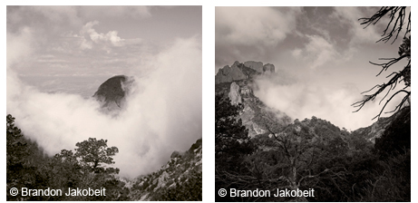 Fog as a landscape at Big Bend National Park.