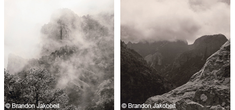Fog as a landscape at Big Bend National Park.