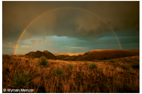 A magnificent rainbow offers a grand finale to a passing thunderstorm in the desert land west of Shafter.