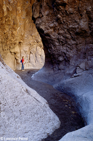 Photo by Laurence Parent