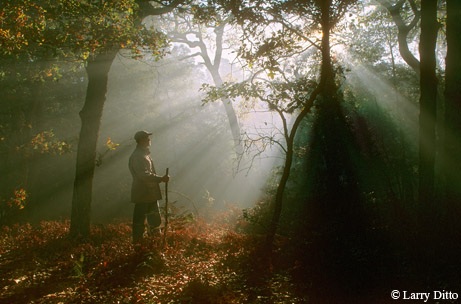 Photo by Larry Ditto