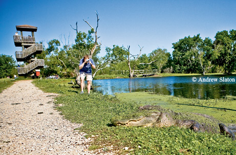 Photo by Andrew Slaton