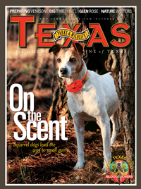 October 2010 cover image On the Scent