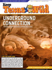 KTW 2011 cover