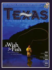 February 2011 cover image A Wish for a Fish