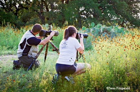 Nature photography