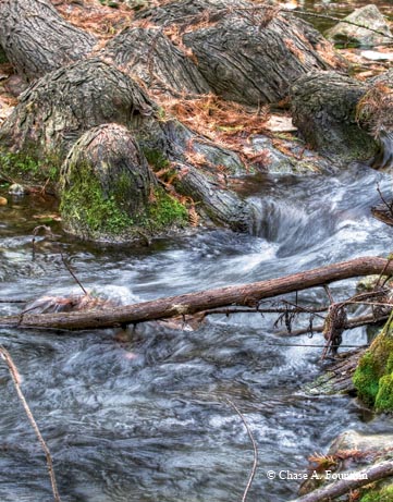 Rushing waters of Honey Creek.