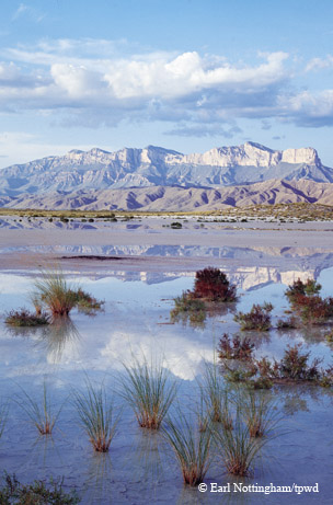 Guadalupe Mountains