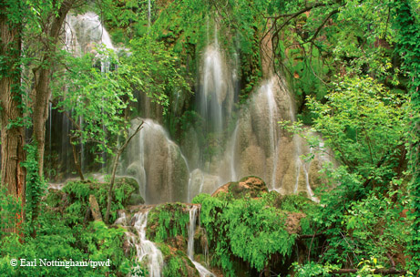 Gorman Falls.