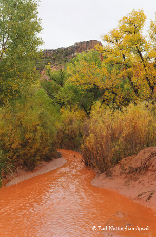 Palo Duro