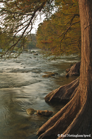 Guadalupe River.
