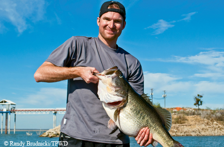 Toyota ShareLunker 525