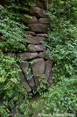Bastrop wall