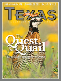 July cover image