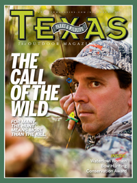 November cover image