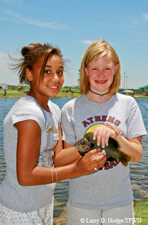 Sunfish