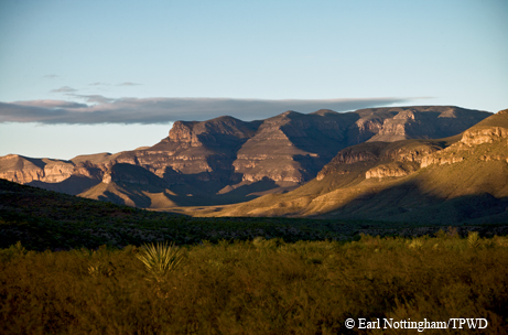 Black Gap WMA