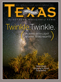 January cover image