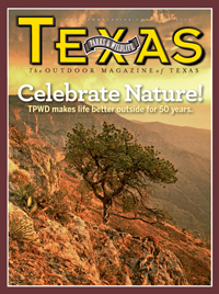 July cover image