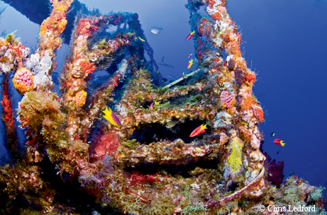 Reef