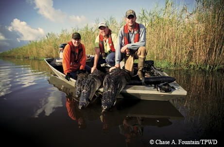 Gator hunt