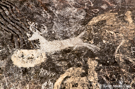 Hueco Tanks deer