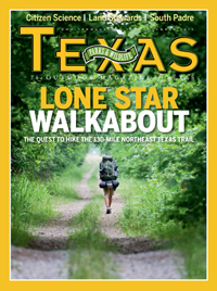 November cover image