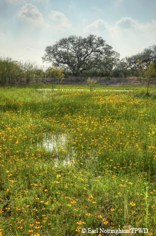 Stockard-Sirianni Ranch
