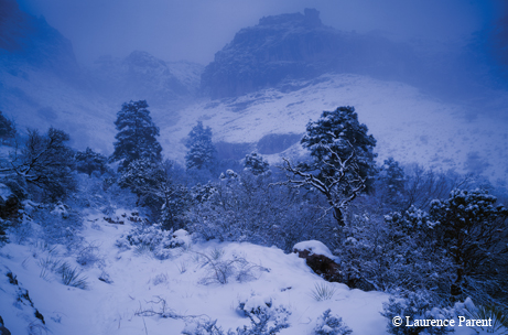 mountain snow