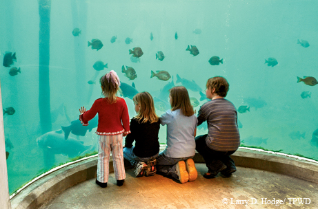 fisheries center