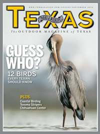 August/September cover image