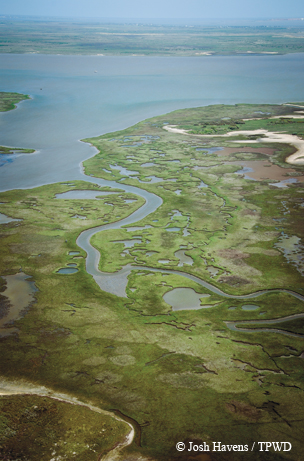 aerial